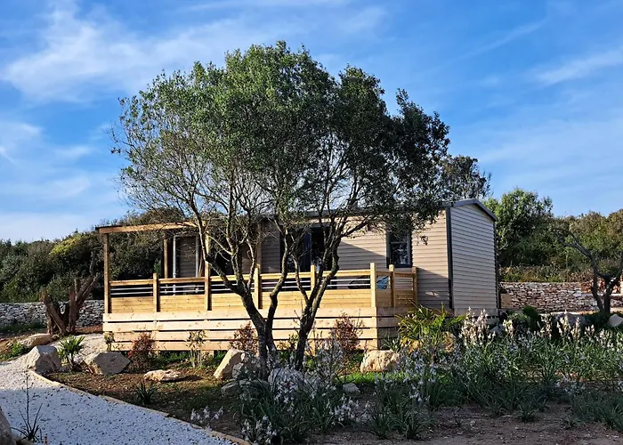 Chalet N * 1 Au Coeur Du Maquis